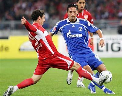 向世界展示 向世界展示