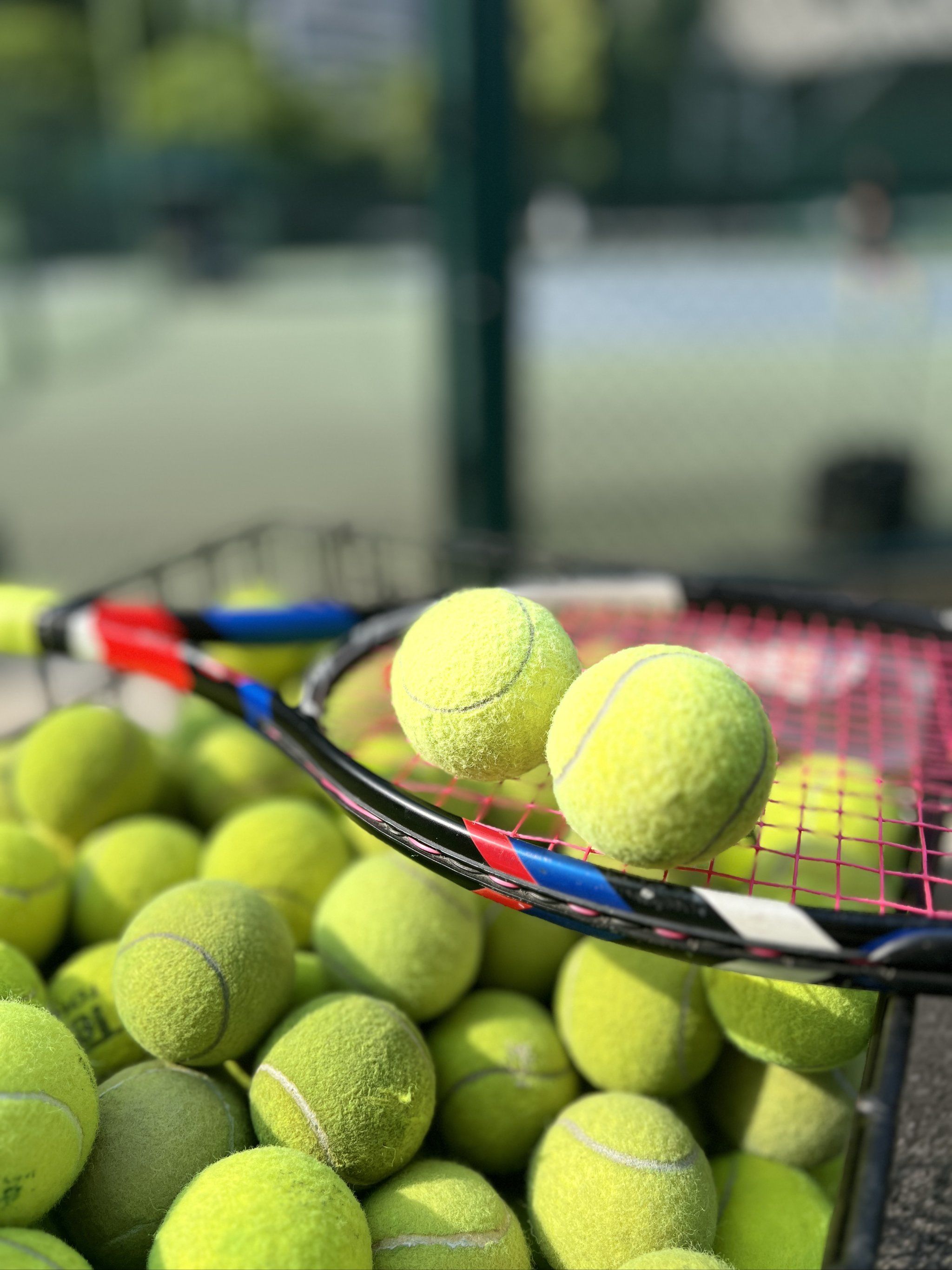 业赛场上频 业赛场上频